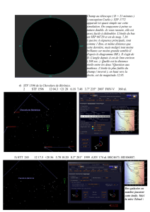 Champ au télescope ( D = 21 minutes ) ( conception Coelix ). STF
