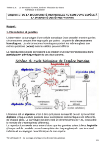 Chapitre 1 : DE LA BIODIVERSITÉ INDIVIDUELLE AU SEIN D`UNE