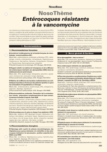 NosoThème Entérocoques résistants à la vancomycine