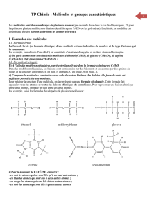 TP Chimie : Molécules et groupes caractéristiques