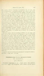 Bulletin de la Société entomologique de France