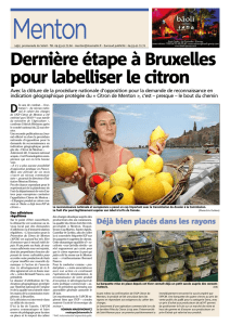 Dernière étape à Bruxelles pour labelliser le citron