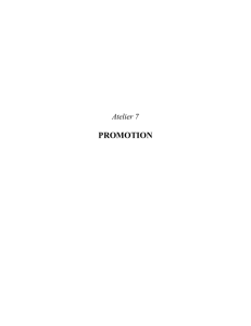 Chapitre 3 : Promotion