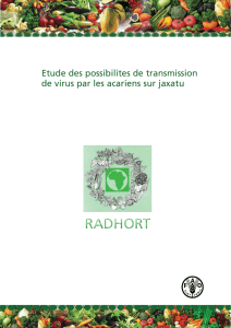 Etude des possibilites de transmission de virus par les