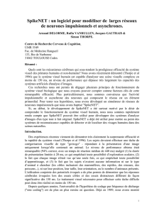 SpikeNET : un logiciel pour mod&eacute;liser de larges r&eacute;seaux de