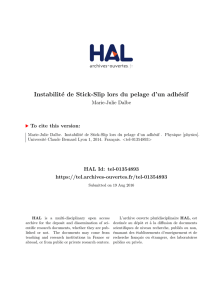 Instabilité de Stick-Slip lors du pelage d`un adhésif - TEL (thèses