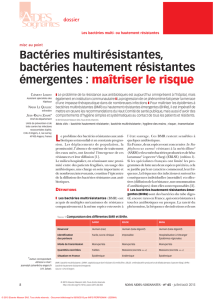 Bactéries multirésistantes, bactéries hautement résistantes