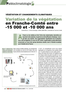 Variation de la végétation en Franche-Comté entre -15 000 et
