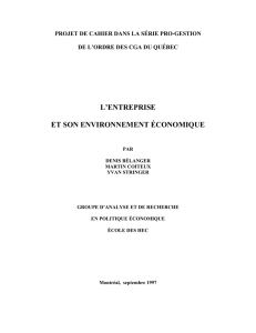 l`entreprise et son environnement &eacute;conomique