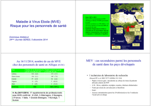 Maladie à Virus Ebola (MVE) Risque pour les personnels de santé