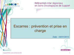 Escarres : Prévention et prise en charge (/default