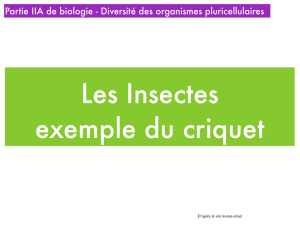 Partie IIA de biologie - Diversité des organismes pluricellulaires