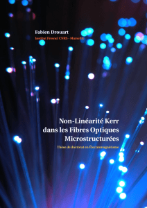 Non-Linéarité Kerr dans les Fibres Optiques