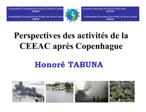 Perspectives des activités de la CEEAC après Copenhague