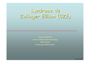 Syndrome de Zollinger Ellison (SZE)