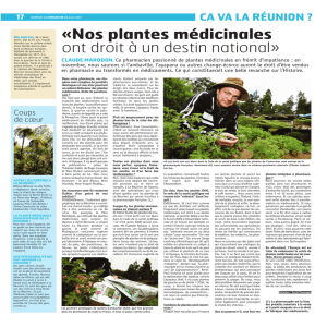 «Nos plantes médicinales ont droit à un destin national»