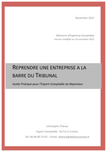 Mémoire DEC - Reprendre une entreprise à la barre du Tribunal (v16)