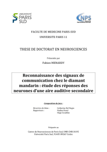 Reconnaissance des signaux de communication chez le