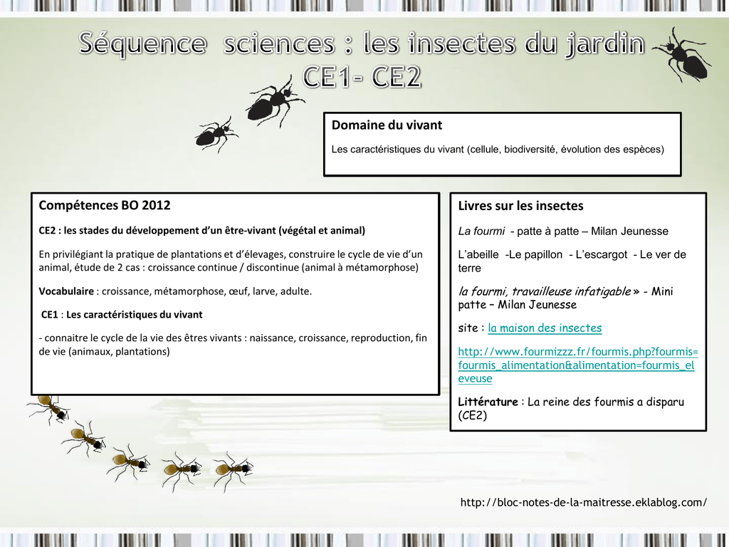 Sequence Sciences Les Insectes Les Fourmis