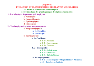 Chapitre II. EVOLUTION ET CLASSIFICATION DES PLANTES