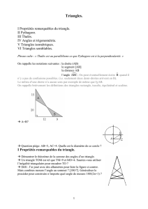 Triangles. - Thierry Sageaux