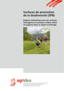 Surfaces de promotion de la biodiversité (SPB)