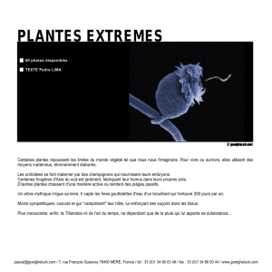 plantes extremes - Pascal Goetgheluck