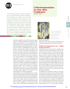 L`électroporation in vivo chez l`embryon - iPubli