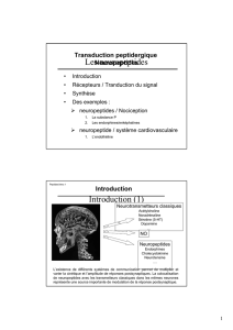 PDF (2 dias /page / Noir et Blanc)
