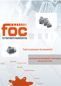 Catalogue Moteurs FOC TRANSMISSIONS