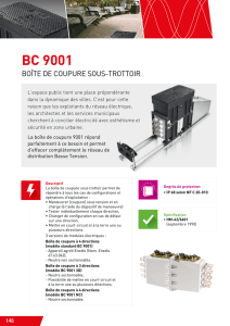 Boîte de coupure sous-trottoir BC 9001