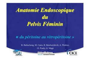 Anatomie Endoscopique du Pelvis Féminin