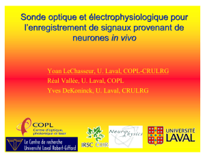 Sonde optique et &eacute;lectrophysiologique pour l`enregistrement de