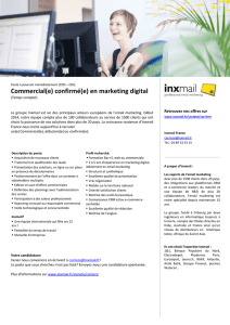 Commercial(e) confirmé(e) en marketing digital