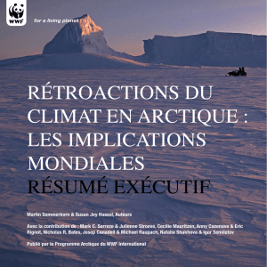 RétRoactions du climat en aRctique : les implications