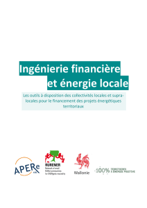 Ingénierie financière et énergie locale