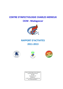Rapport d`activités 2011-2013