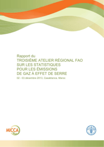 Troisième atelier sur les statistiques relatives aux émissions de gaz