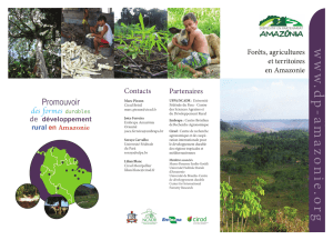 Plaquette dP Amazonie (Français) - Forêts, agricultures et territoires
