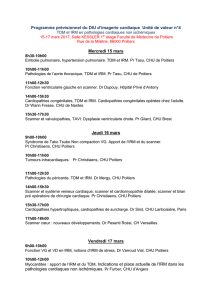 Programme du DIU d`imagerie cardiaque et vasculaire Option TDM