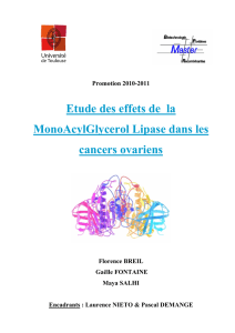 Etude des effets de la MonoAcylGlycérol Lipase dans les cancers