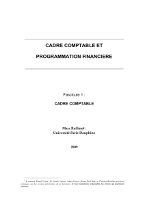 cadre comptable et programmation financiere