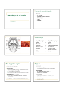 Sémiologie de la bouche