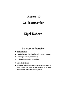 La locomotion - Robert Rigal