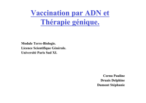 Vaccination par ADN et Thérapie génique. - FTP de P-ZiB