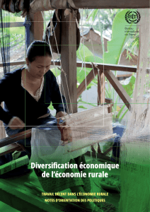 Diversification économique de l`économie rurale