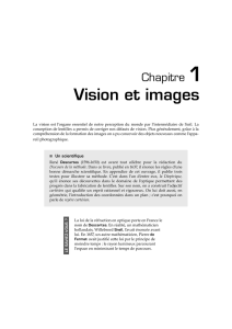 Vision et images - Editions Ellipses