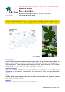 pdf - Info Flora