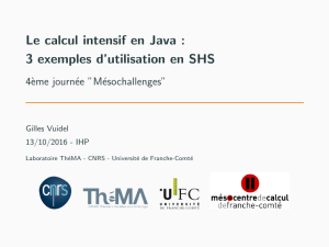 Le calcul intensif en Java : 3 exemples d`utilisation en SHS