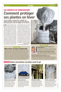 Comment protéger ses plantes en hiver - krebs